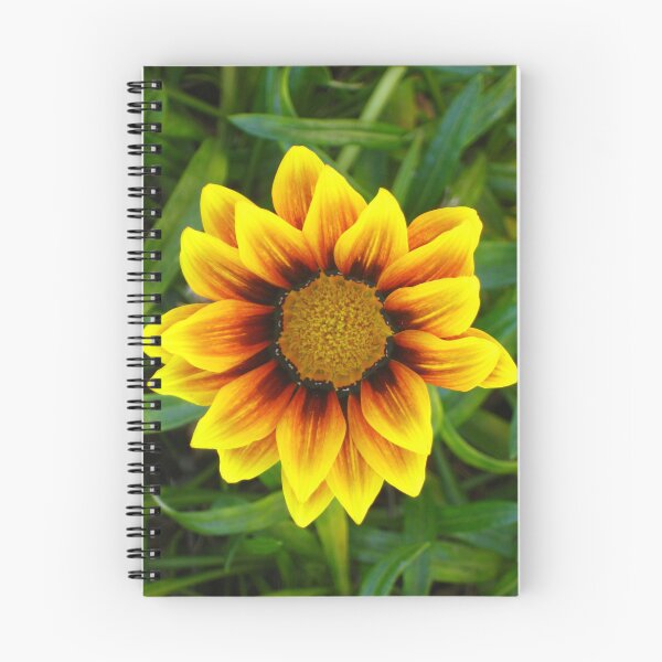 Item preview, Fiery and Fresh Gazania in Vibrant Yellow, Red, and Black with Green Leaves designed and sold by JoyousArt4u.