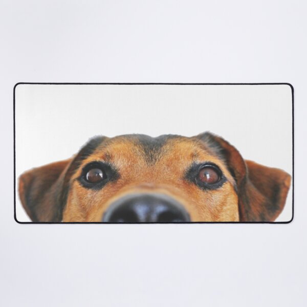 Item preview, The dog is watching designed and sold by CreativeWorld96.