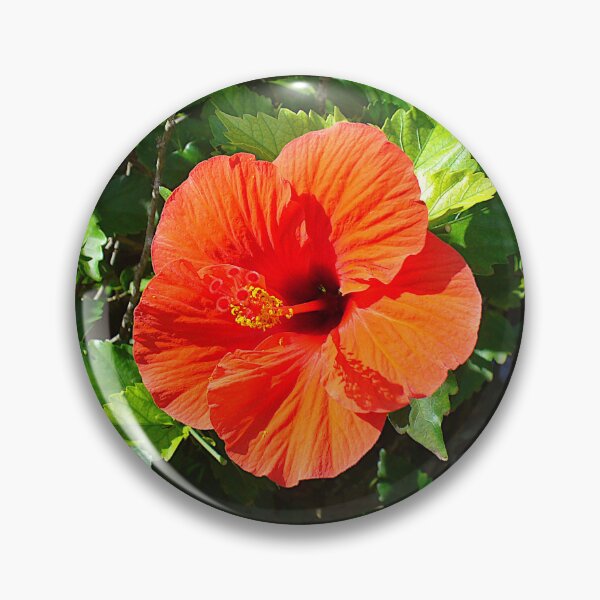 Item preview, Rarotongan Red Hibiscus designed and sold by KaSaPo.