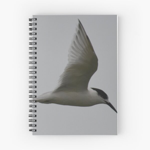 Item preview, The Art of Flight designed and sold by lizdomett.