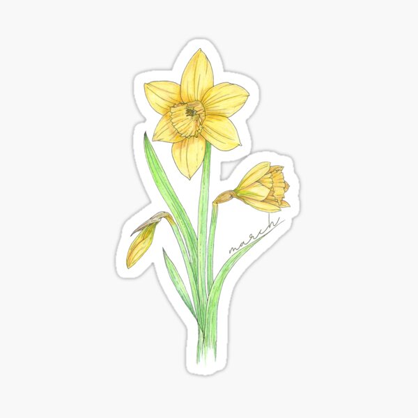 Item preview, Daffodil March Birthflower designed and sold by iriseriks.