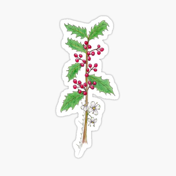 Item preview, Holly December Birthflower designed and sold by iriseriks.