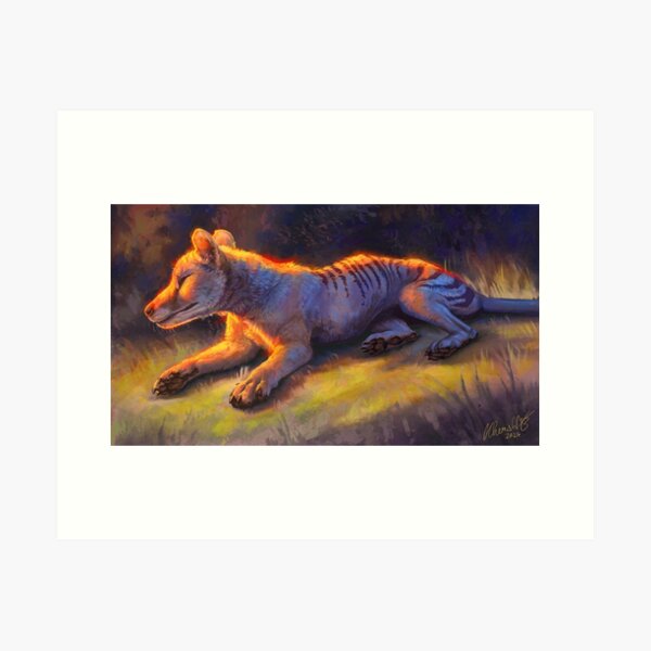 Item preview, Resting Thylacine designed and sold by cherishart.