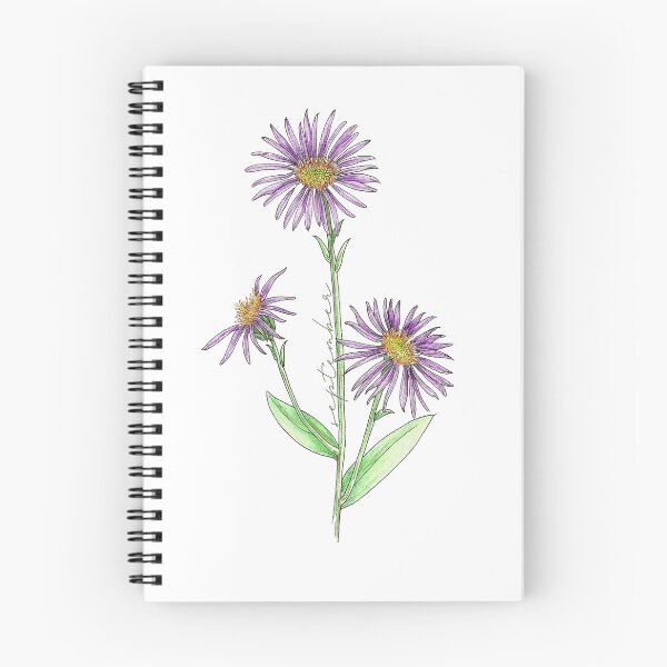 Item preview, Aster September Birthflower designed and sold by iriseriks.