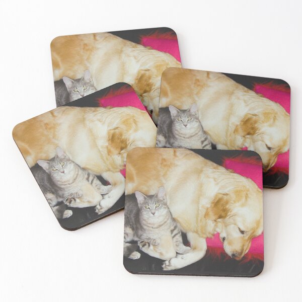 Item preview, Cuddly dog and cat duo photography designed and sold by Carré Comme Orange.