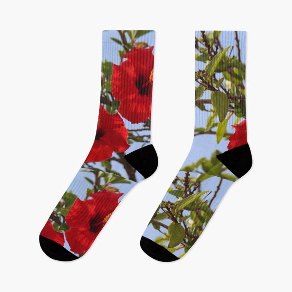Item preview, Hibiscus Red Flower Blue Sky Alicante designed and sold by eddiebarronshop.