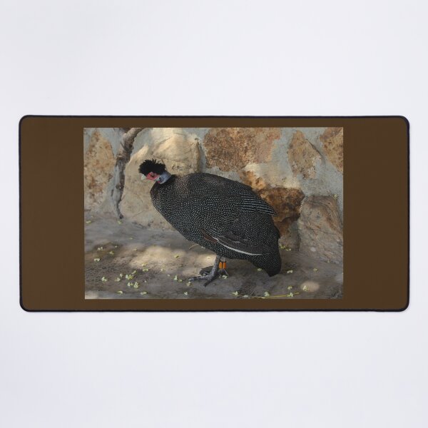 Item preview, Kenyan Crested Guineafowl Nature Lovers Valencia designed and sold by eddiebarronshop.