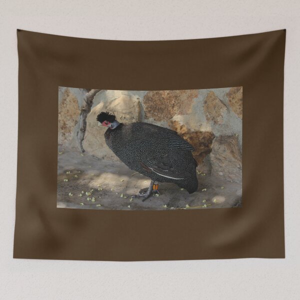 Item preview, Kenyan Crested Guineafowl Nature Lovers Valencia designed and sold by eddiebarronshop.