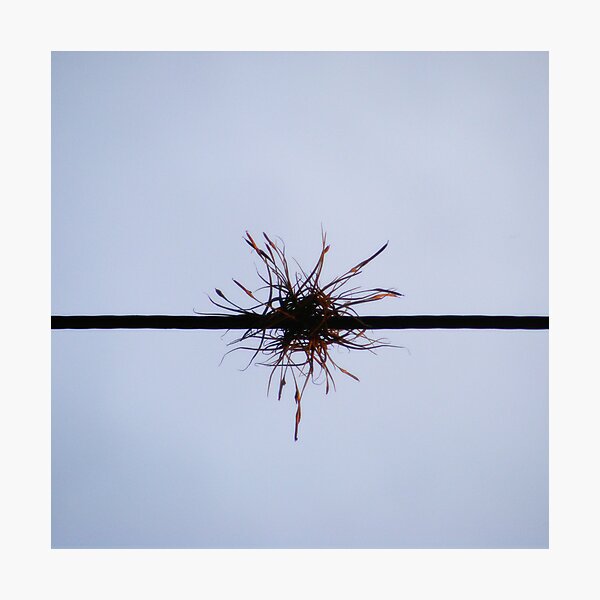 Easier, quicker, safer: ephemeral life Photographic Print