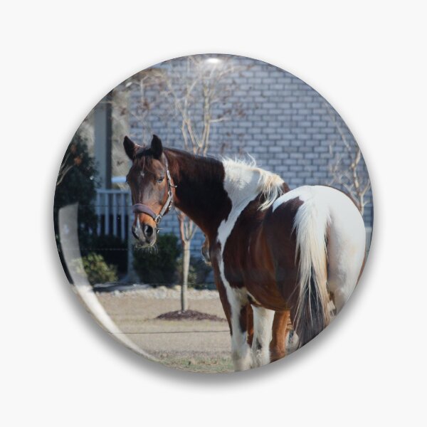 Item preview, Horse And House designed and sold by Cynthia48.