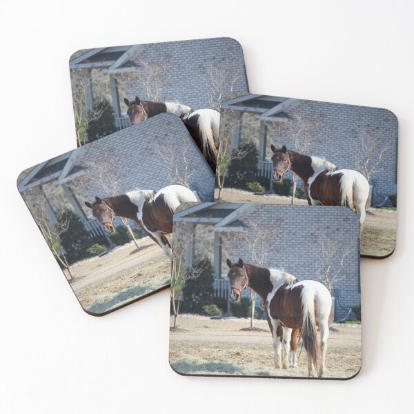 Item preview, Horse And House designed and sold by Cynthia48.