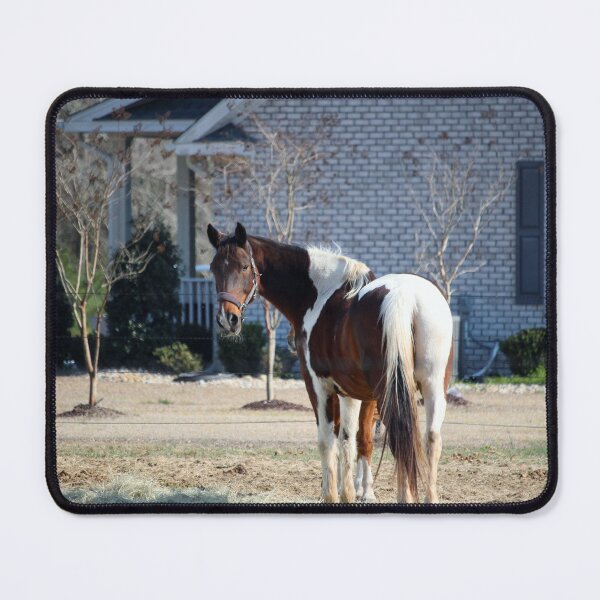 Item preview, Horse And House designed and sold by Cynthia48.