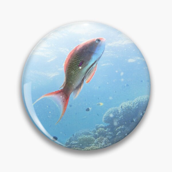 Item preview, Red Sea Creatures Marsa Alam  designed and sold by Ahmed ElMekawy.