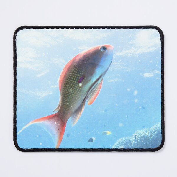 Item preview, Red Sea Creatures Marsa Alam  designed and sold by Ahmed ElMekawy.