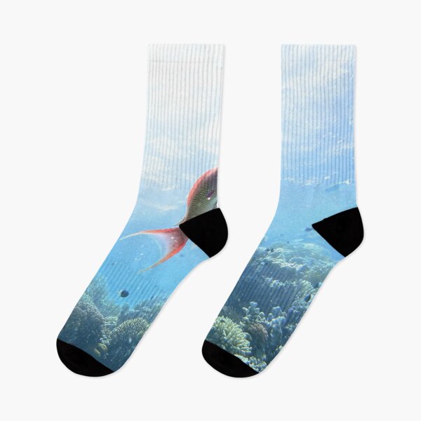 Item preview, Red Sea Creatures Marsa Alam  designed and sold by Ahmed ElMekawy.