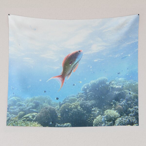Item preview, Red Sea Creatures Marsa Alam  designed and sold by Ahmed ElMekawy.