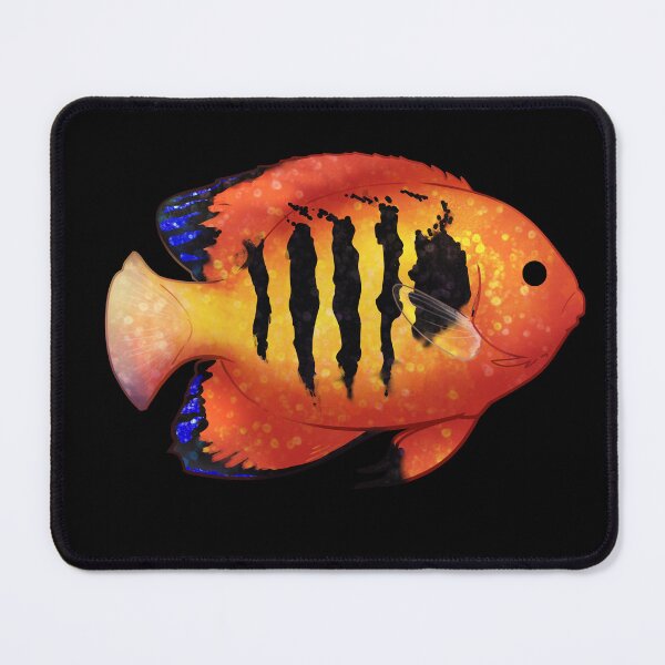 Item preview, Cozy Flame Angelfish designed and sold by Phoenix of Starlight.