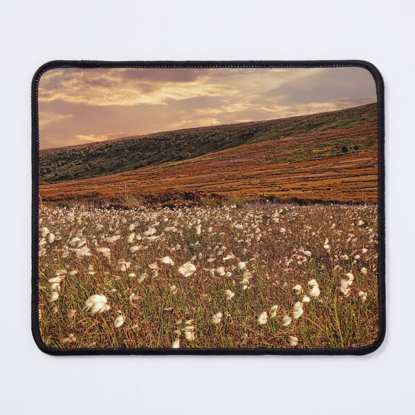Item preview, Cotton Grass on the North York Moors designed and sold by RosRidleyPhoto.