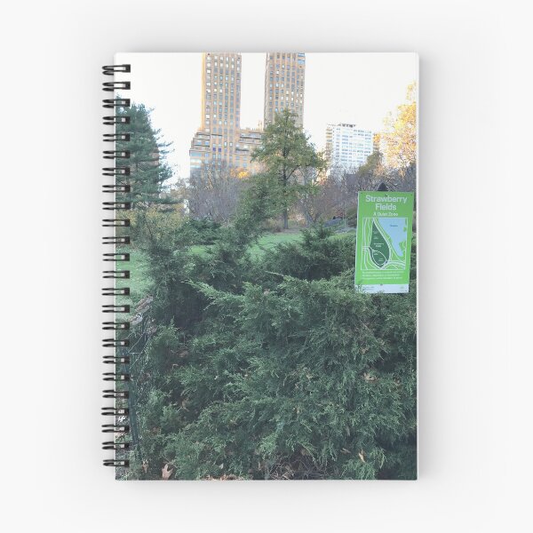 Item preview, Strawberry Fields in Central Park, New York designed and sold by OutOfTordinary.