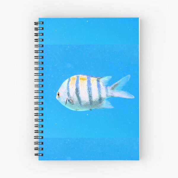 Item preview, Red Sea Inhabitants Marsa Alam  designed and sold by Ahmed ElMekawy.
