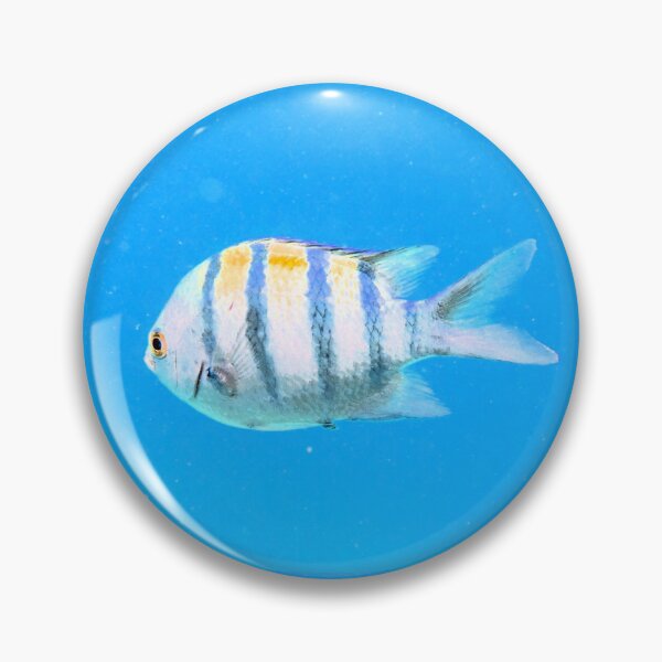 Item preview, Red Sea Inhabitants Marsa Alam  designed and sold by Ahmed ElMekawy.