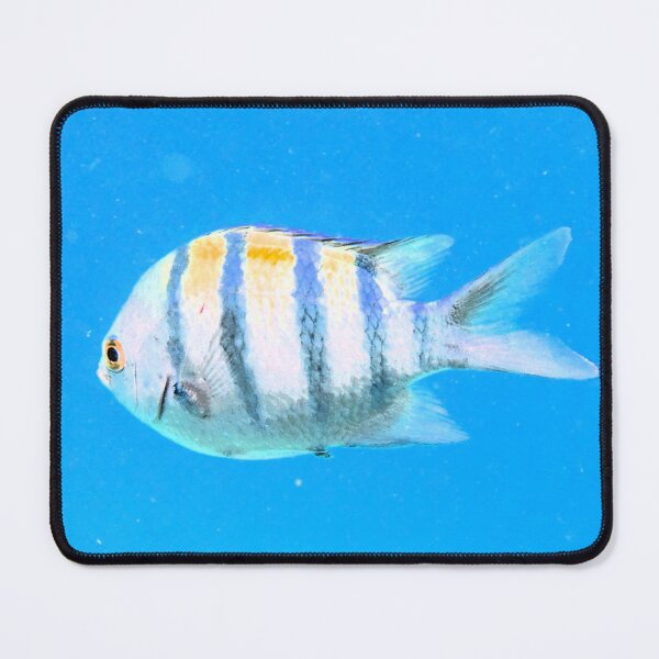 Item preview, Red Sea Inhabitants Marsa Alam  designed and sold by Ahmed ElMekawy.