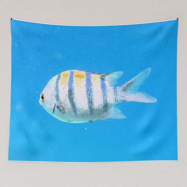 Item preview, Red Sea Inhabitants Marsa Alam  designed and sold by Ahmed ElMekawy.