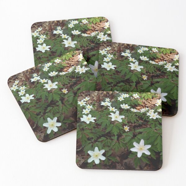 Item preview, White wood anemone 3 original artwork designed and sold by paragonDesign28.
