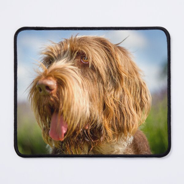 Item preview, Blue sky Spinone by heidiannemorris designed and sold by FOLK ART FUSION by heidiannemorris.