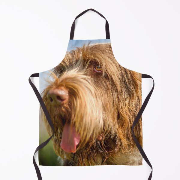 Item preview, Blue sky Spinone by heidiannemorris designed and sold by FOLK ART FUSION by heidiannemorris.