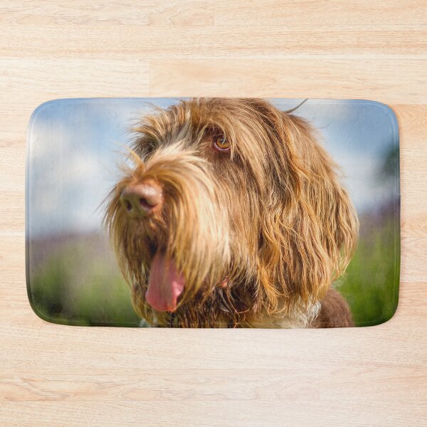 Item preview, Blue sky Spinone by heidiannemorris designed and sold by FOLK ART FUSION by heidiannemorris.