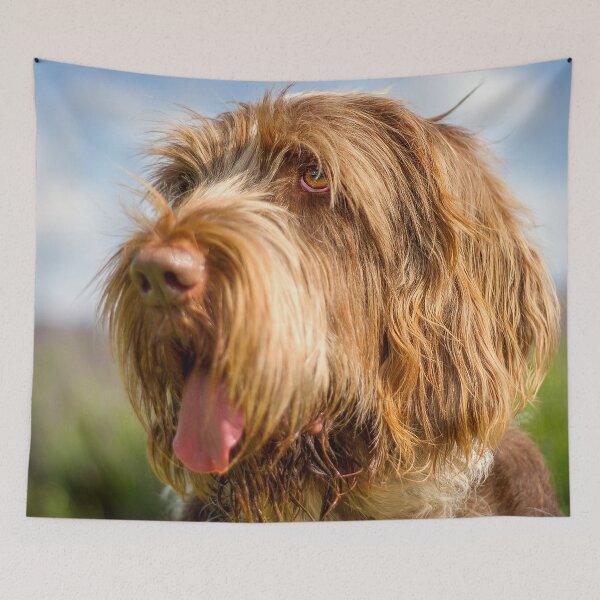 Item preview, Blue sky Spinone by heidiannemorris designed and sold by FOLK ART FUSION by heidiannemorris.