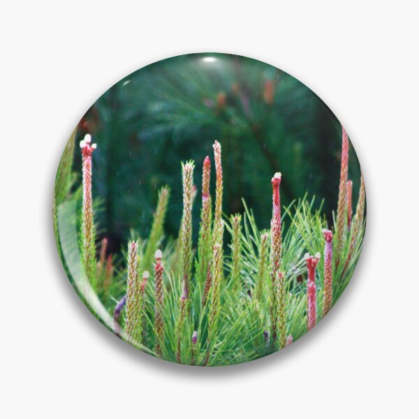 Item preview, spring. pine tree designed and sold by Tereza Pilar  Art.