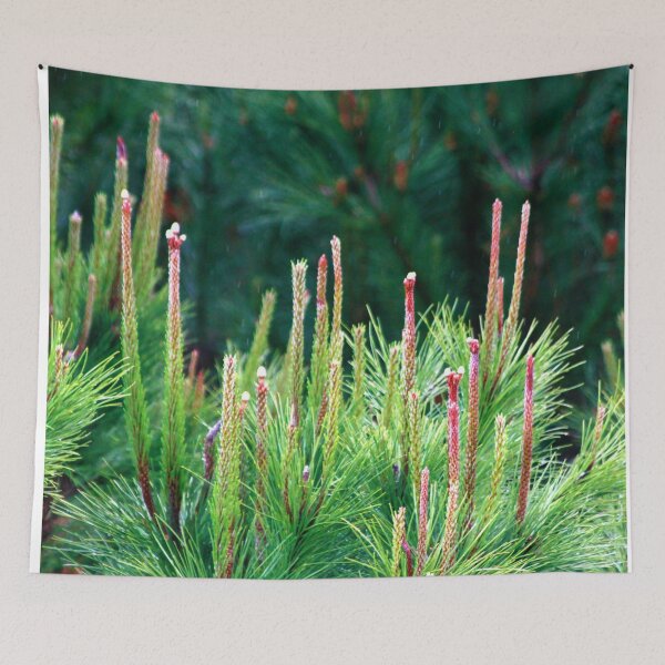 Item preview, spring. pine tree designed and sold by Tereza Pilar  Art.