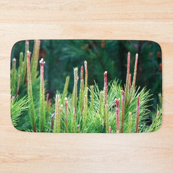 Item preview, spring. pine tree designed and sold by Tereza Pilar  Art.