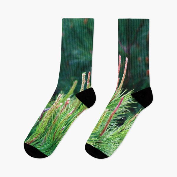 Item preview, spring. pine tree designed and sold by Tereza Pilar  Art.