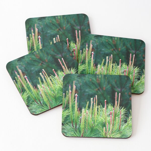 Item preview, spring. pine tree designed and sold by Tereza Pilar  Art.