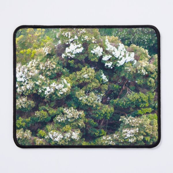 Item preview, flowering tree designed and sold by Tereza Pilar  Art.