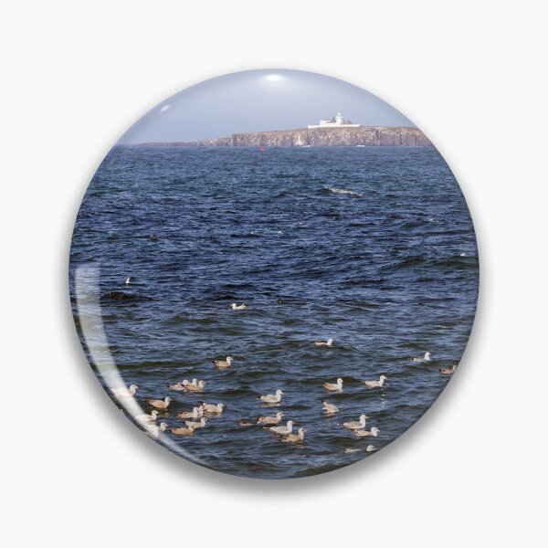 Artikelvorschau, Seevögel auf dem Meer vor den Farne-Inseln entworfen und verkauft von Richard Flint.