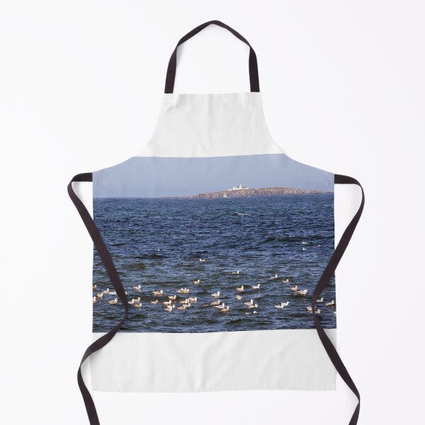 Item preview, Seabirds on the sea in front of the Farne islands designed and sold by Richard Flint.