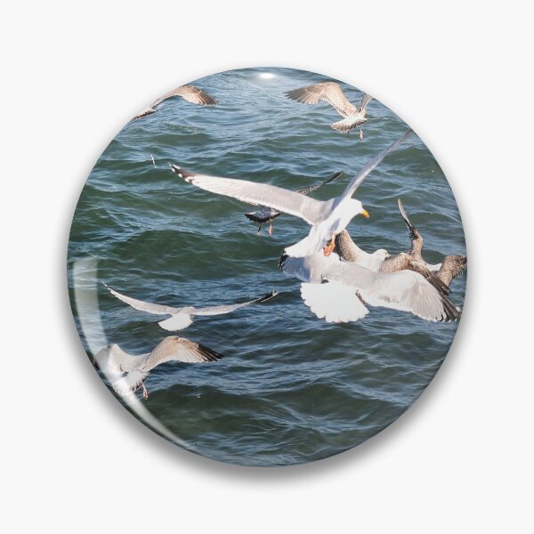 Item preview, Seagulls gliding the up currents - Seahouses, Northumberland designed and sold by Richard Flint.