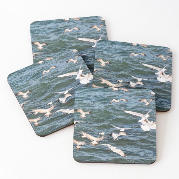 Item preview, Seagulls gliding the up currents - Seahouses, Northumberland designed and sold by Richard Flint.