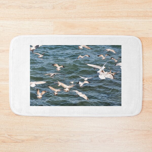 Item preview, Seagulls gliding the up currents - Seahouses, Northumberland designed and sold by Richard Flint.