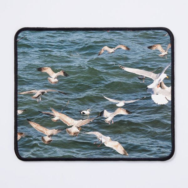 Item preview, Seagulls gliding the up currents - Seahouses, Northumberland designed and sold by Richard Flint.
