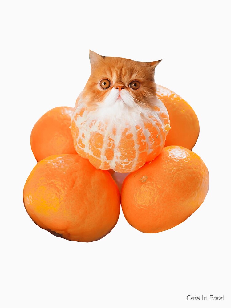 "Tangerine Cat" Essential TShirt for Sale by Cats In Food Redbubble