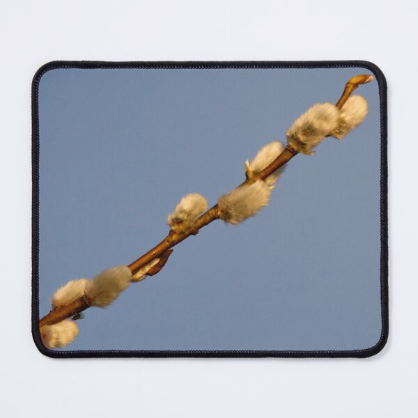Item preview, The stick. Willow cat designed and sold by Jouko Lehto Photography.