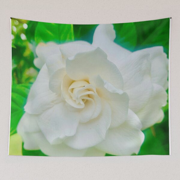Item preview, Gardenia designed and sold by baksuart.