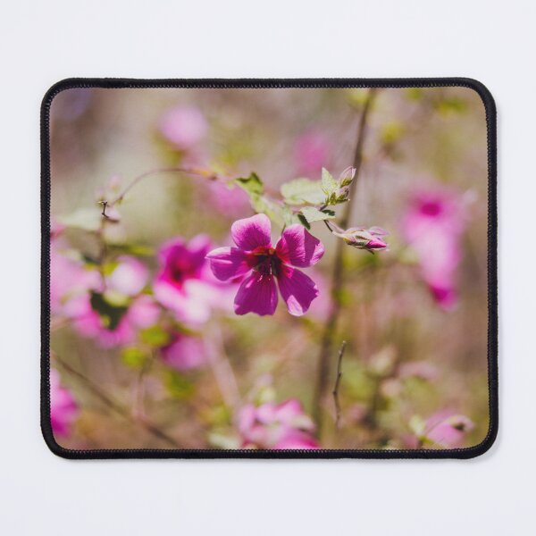 Item preview, Pink Pallete designed and sold by thelookoflife.