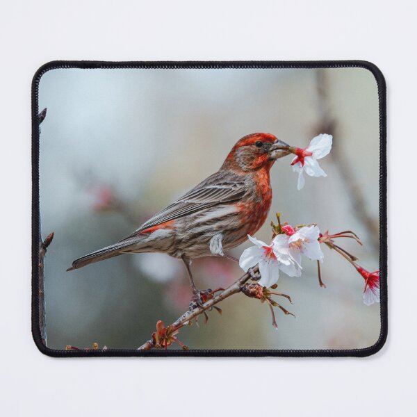 Item preview, Cherry blossom love designed and sold by thelookoflife.