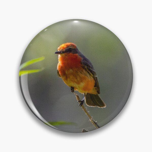 Item preview, Flycatcher designed and sold by thelookoflife.
